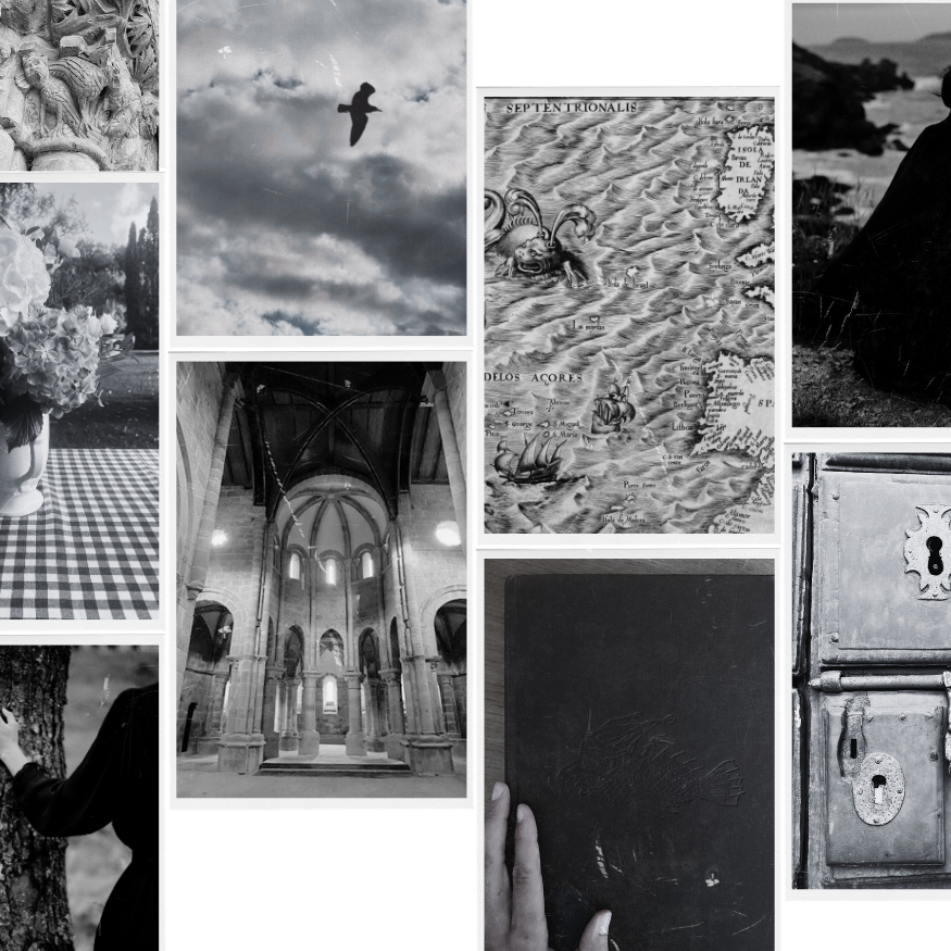 LA MADRIGUERA - collage