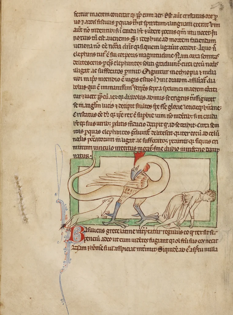 Miniatura medieval del basilisco en un manuscrito iluminado del siglo XIII.