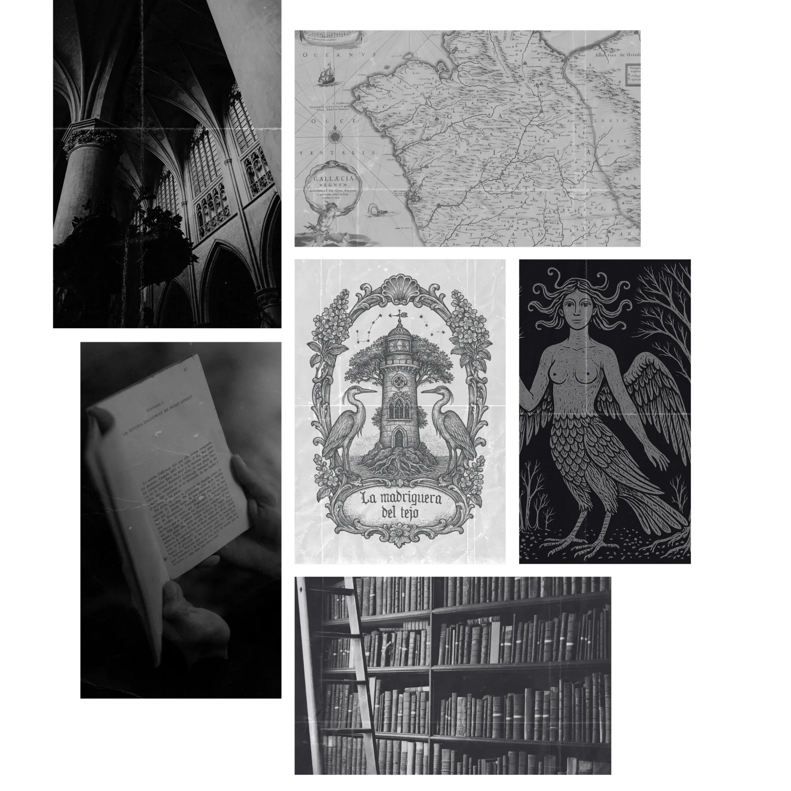 Collage artístico en blanco y negro de La Biblioteca, con libros antiguos, naturaleza y símbolos de conocimiento creados por Lila Grouse para La Madriguera del Tejo